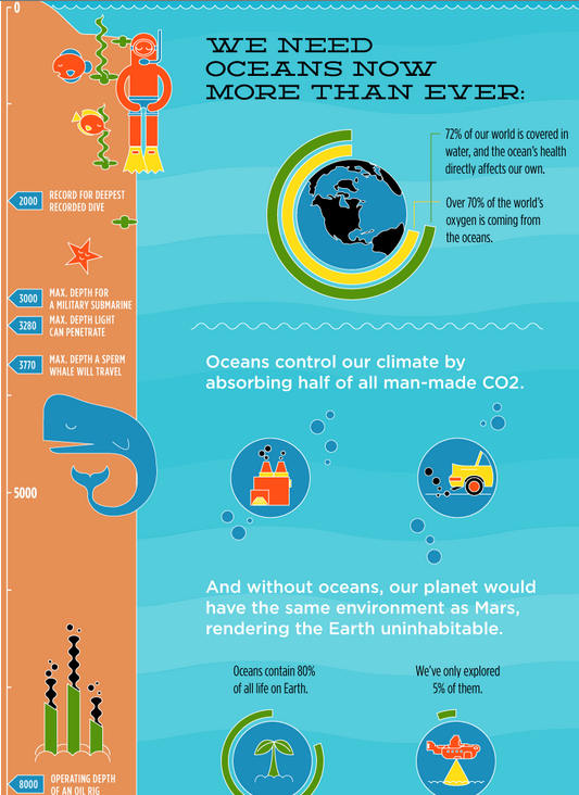 Infographics about the Ocean